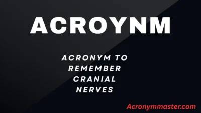 Acronym to Remember Cranial Nerves
